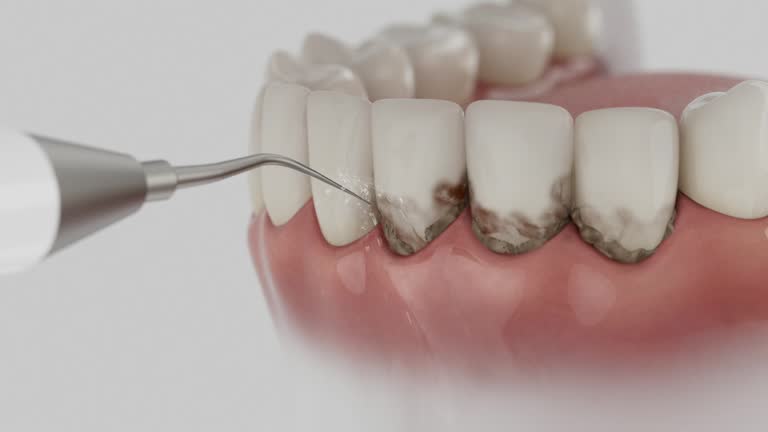Reliable Dental contractor in Shinnston, WV by Dentist Open Now